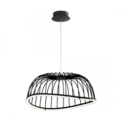 SUSPENSIE CELESTE BLACK2