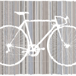 BICYCLE TRACE