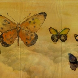 BUTTERFLIES