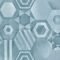 HEXAGONS